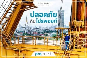 50581407 2697400513605238 1468034377416966144 o